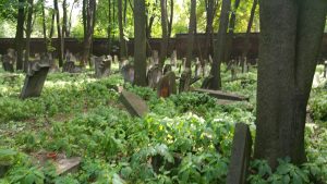 The Jewish Cemetery on Okopowa Street