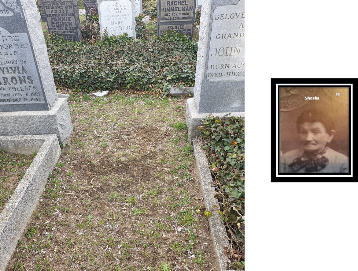 Shosha/Sophie Berkowitz’s final resting place in Montefiore Cemetery, Queens, NY and her only known photograph