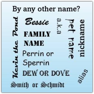 Names aliases nicknames etc