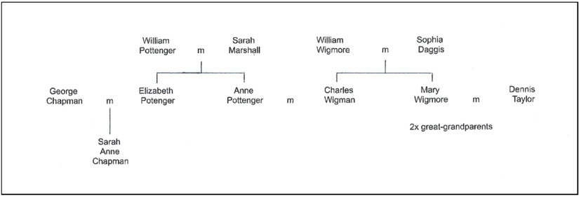 Ownership or World Tree