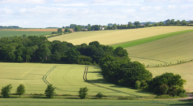 The life of an agricultural labourer in early 19th century Berkshire