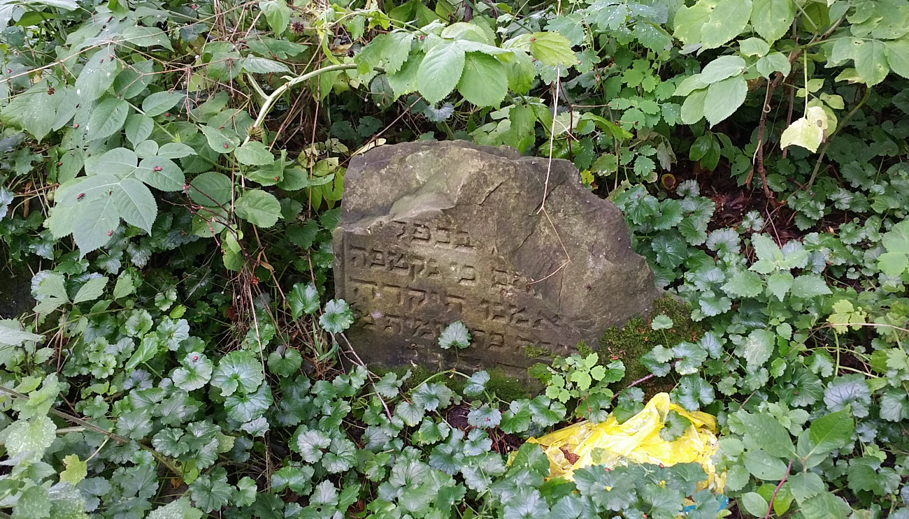 The Jewish cemetery in a forest in Zambrow